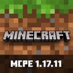 minecraft 1.17.11